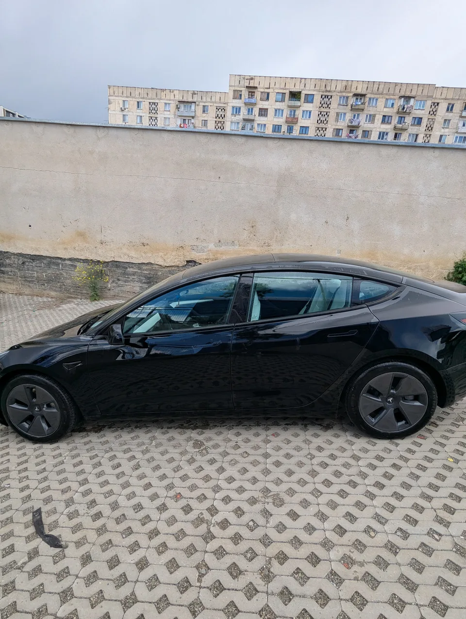 Tesla Model 3 Model 3 long range dual motor 2023 — миниатюра 3