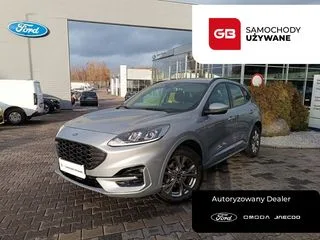Ford Kuga 2.0 EcoBlue AWD ST-Line 2023 — фото 1, купить с доставкой в Москву