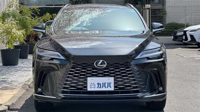 Lexus RX 350h L 4WD 2024 — миниатюра 2