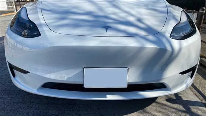 Tesla Motors Others RWD 2022 — миниатюра 4