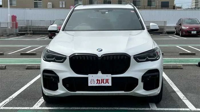 BMW X5 xDrive 40d M 2022 — миниатюра 2