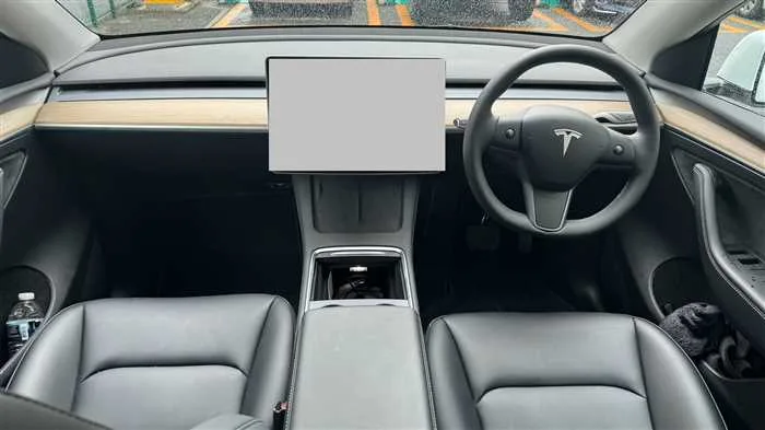 Tesla Motors Others RWD 2022 — миниатюра 3