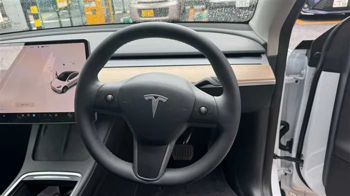 Tesla Motors Others RWD 2022 — миниатюра 4