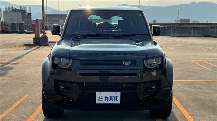 Land Rover Defender 110 X HSE D300 2023 — миниатюра 2