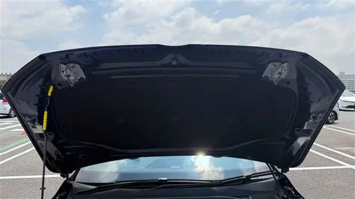 Volkswagen Volkswagen Others TSI 4 2024 — миниатюра 4