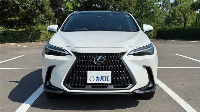 Lexus NX 350h 2023 — миниатюра 2
