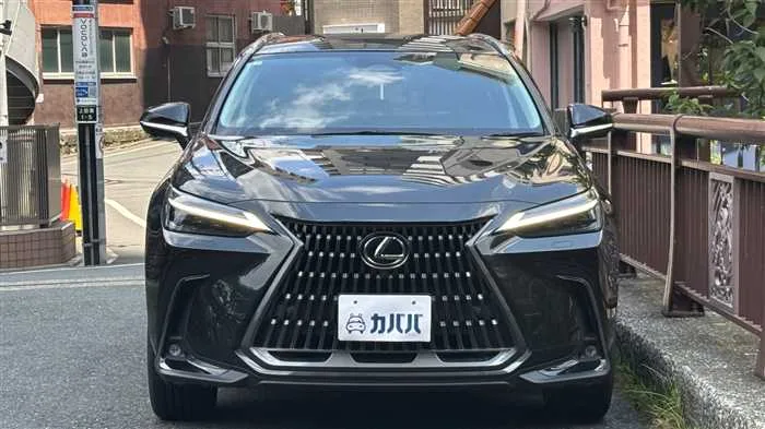 Lexus NX 350h L 2023 — миниатюра 2