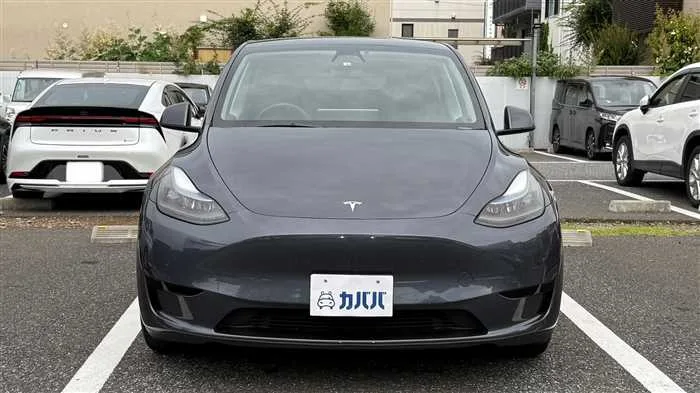 Tesla Motors Others RWD 2022 — миниатюра 2