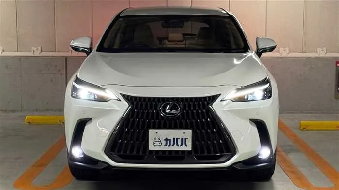 Lexus NX 250 2025 — миниатюра 2