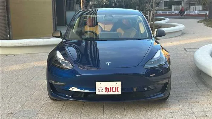 Tesla Motors Others 2023 — миниатюра 2