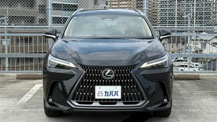 Lexus NX 350h L 2023 — миниатюра 2