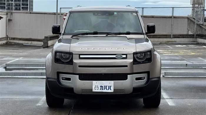 Land Rover Defender 110 S D300 2023 — миниатюра 2
