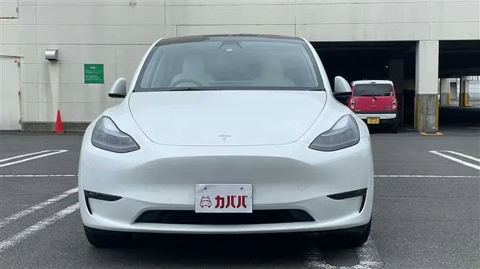 Tesla Motors Others 2022 — миниатюра 2