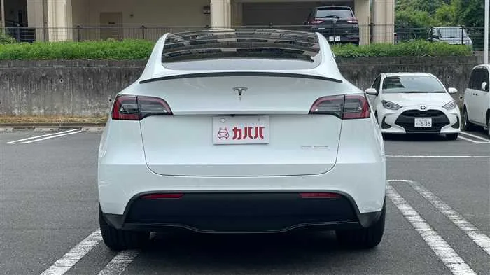 Tesla Motors Others 2022 — миниатюра 3