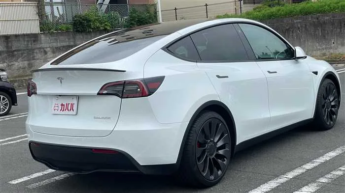 Tesla Motors Others 2022 — миниатюра 5