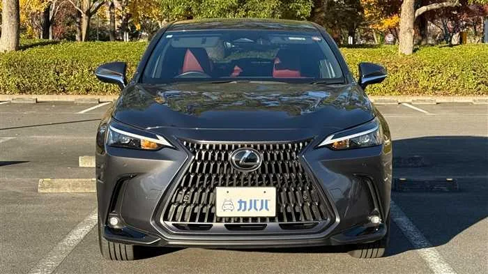 Lexus NX 250 2024 — миниатюра 2