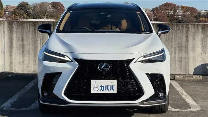 Lexus NX 350h F 2024 — миниатюра 2