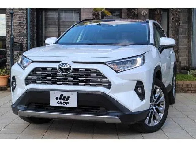 Toyota RAV4 2023 — фото 1, купить с доставкой в Москву