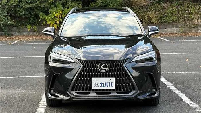 Lexus NX 250 L 2023 — миниатюра 2