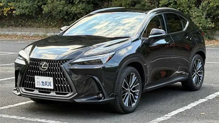 Lexus NX 250 L 2023 — фото 1, купить с доставкой в Москву