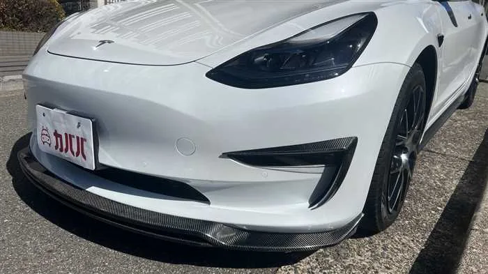 Tesla Motors Others AWD 2022 — миниатюра 4