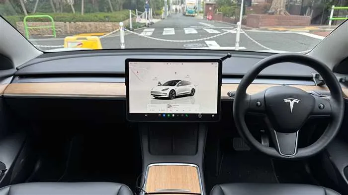 Tesla Motors Others RWD 2022 — миниатюра 5