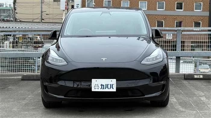Tesla Motors Others 2023 — миниатюра 2