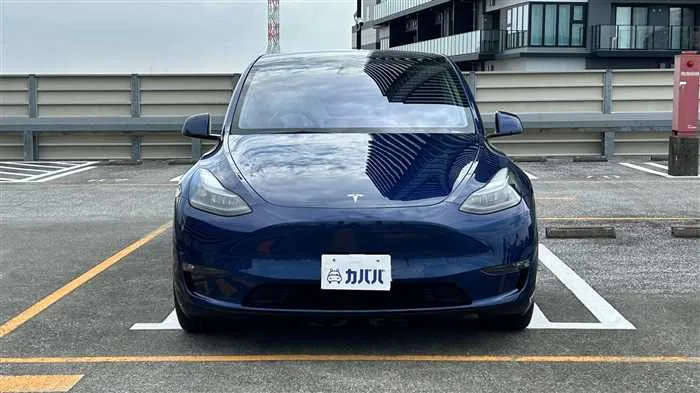 Tesla Motors Others 2022 — миниатюра 2