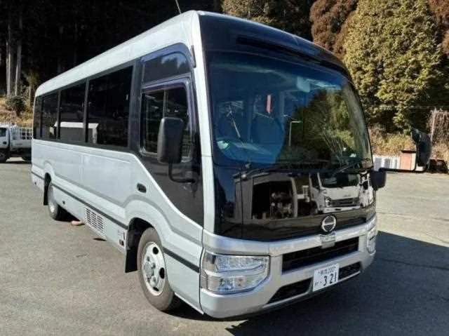 Hino Liesse 2024 — фото 1, купить с доставкой в Москву