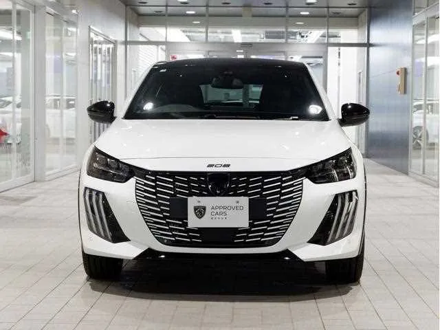 Peugeot Peugoet Others 2025 — миниатюра 3