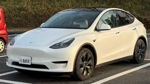 Tesla Motors Others 2025 купить в Москве