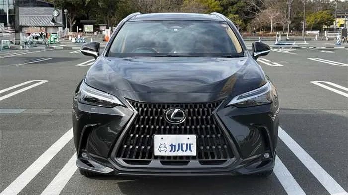 Lexus NX 350h L 2023 — миниатюра 2