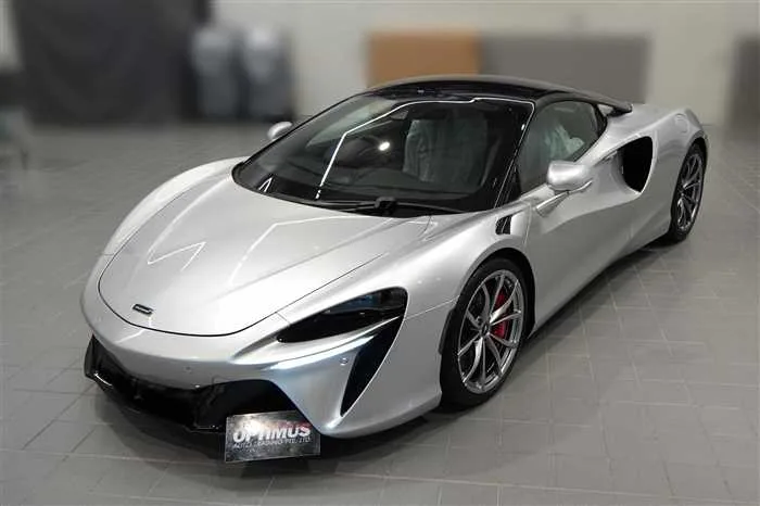 Other All Other All ARTURA COUPE 2025 — фото 1, купить с доставкой в Москву