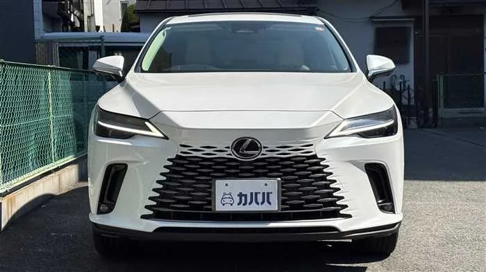 Lexus RX 350h L 2024 — миниатюра 2