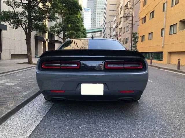 Chrysler Chrysler Others 2022 — миниатюра 5