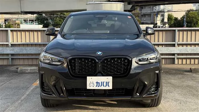 BMW X4 xDrive 20d M 2024 — миниатюра 2