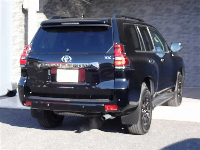 Toyota Land Cruiser Prado TX-L Anniversary Limited 2022 — миниатюра 5