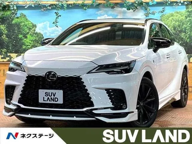 Lexus RX 2023 — фото 1, купить с доставкой в Москву