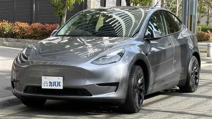 Tesla Motors Others RWD 2024 — фото 1, купить с доставкой в Москву