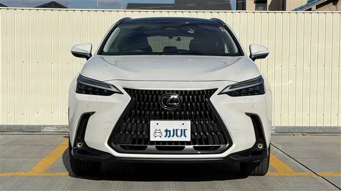 Lexus NX 350h L 2023 — миниатюра 2
