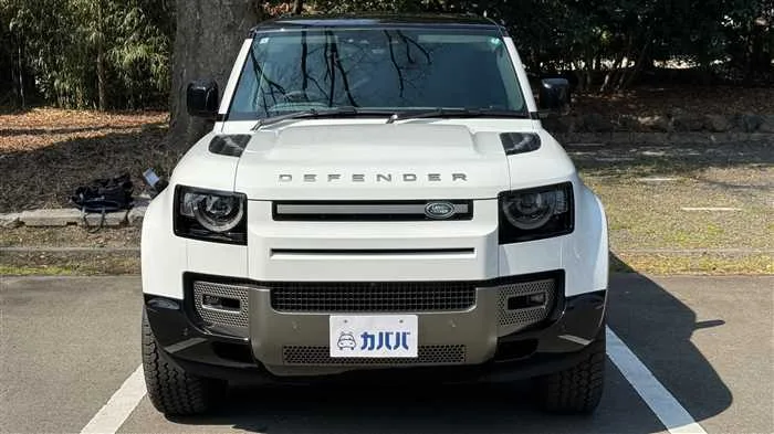 Land Rover Defender 110 X HSE D300 2024 — миниатюра 2