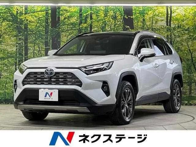 Toyota RAV4 2023 — фото 1, купить с доставкой в Москву