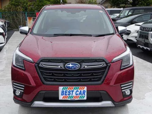 Subaru Forester 2.0 Van 4WD 2025 — миниатюра 2