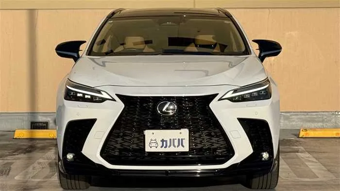 Lexus NX 350h F AWD 2024 — миниатюра 2
