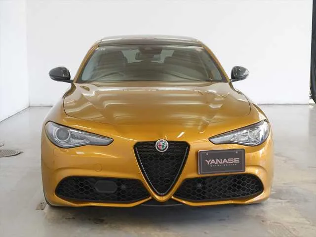 Alfa Romeo Alfa Romeo Others 2022 — миниатюра 2