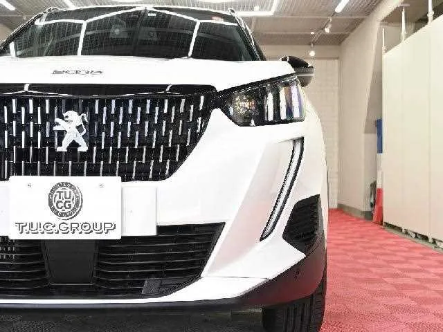 Peugeot Peugoet Others 2023 — миниатюра 3