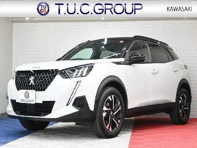 Peugeot Peugoet Others 2023 — фото 1, купить с доставкой в Москву