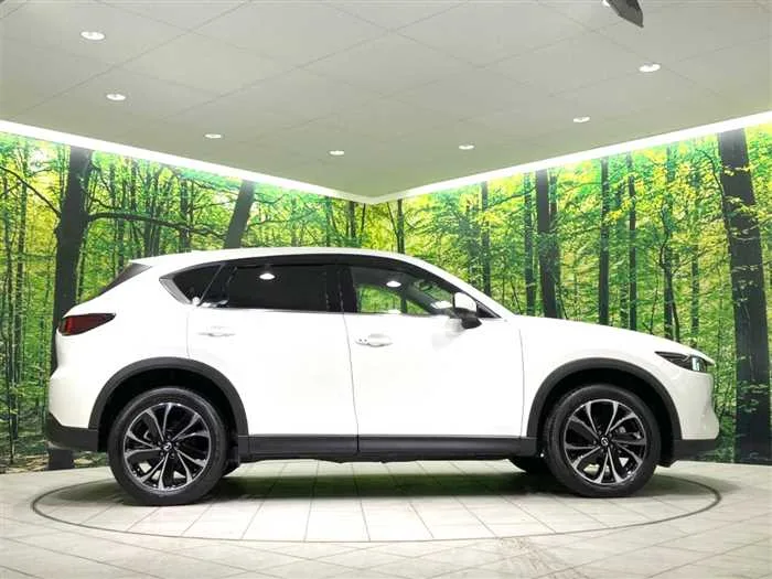 Mazda CX-5 2022 — миниатюра 4