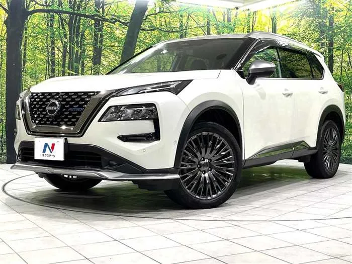 Nissan X-Trail 2023 — фото 1, купить с доставкой в Москву