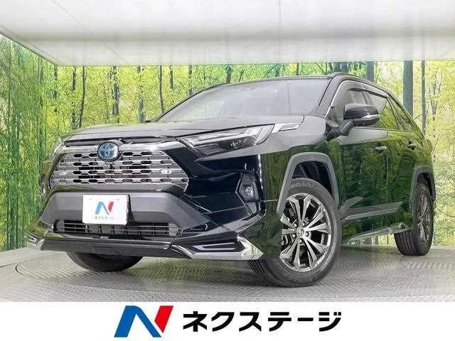 Toyota RAV4 2022 — фото 1, купить с доставкой в Москву